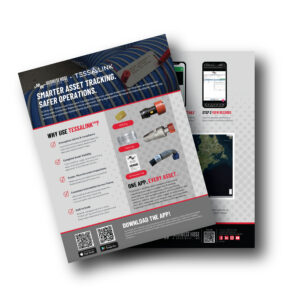 Tessalink Flyer